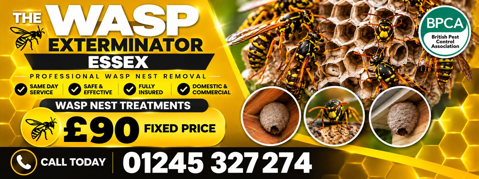 The Wasp Exterminator Essex, professional wasp nest removal, same day service, £90 fixed price, call 01245 327274